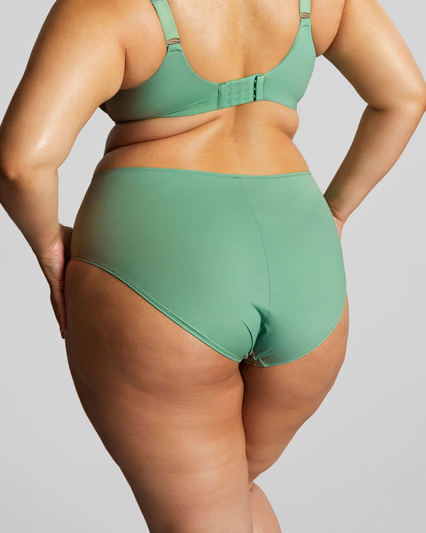 Sculptresse Esme Deep Brief in Wonderland green made for curves back view