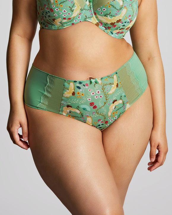 Sculptresse Esme Deep Brief in Wonderland green made for curves front view