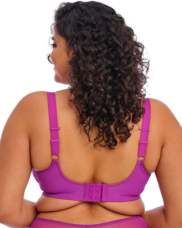 Elomi Matilda Plunge Bra in Hollyhock made for the curvier woman with a big bust back view